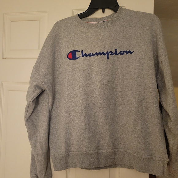 Champion Men's Crewneck Sweater in Gray and Blue - Picture 1 of 1